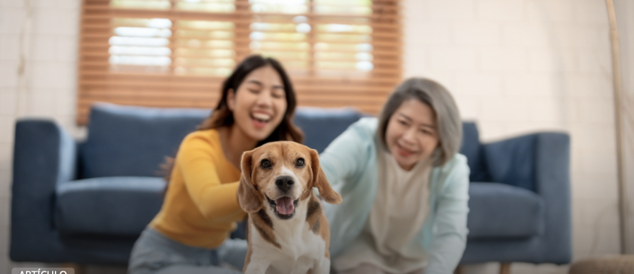 Mascotas: un vínculo mucho más allá de la compañía